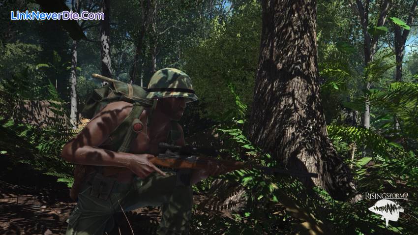 Hình ảnh trong game Rising Storm 2: Vietnam (screenshot) Hình ảnh trong game Rising Storm 2: Vietnam (screenshot)