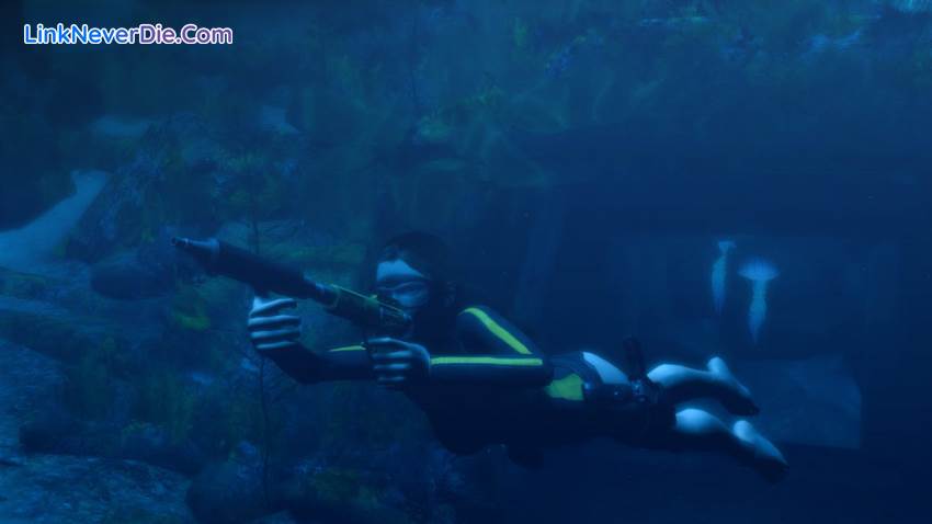 Hình ảnh trong game Tomb Raider: Underworld (screenshot) Hình ảnh trong game Tomb Raider: Underworld (screenshot)
