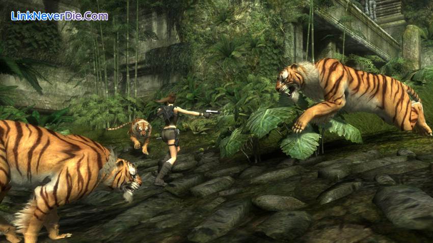 Hình ảnh trong game Tomb Raider: Underworld (screenshot) Hình ảnh trong game Tomb Raider: Underworld (screenshot)