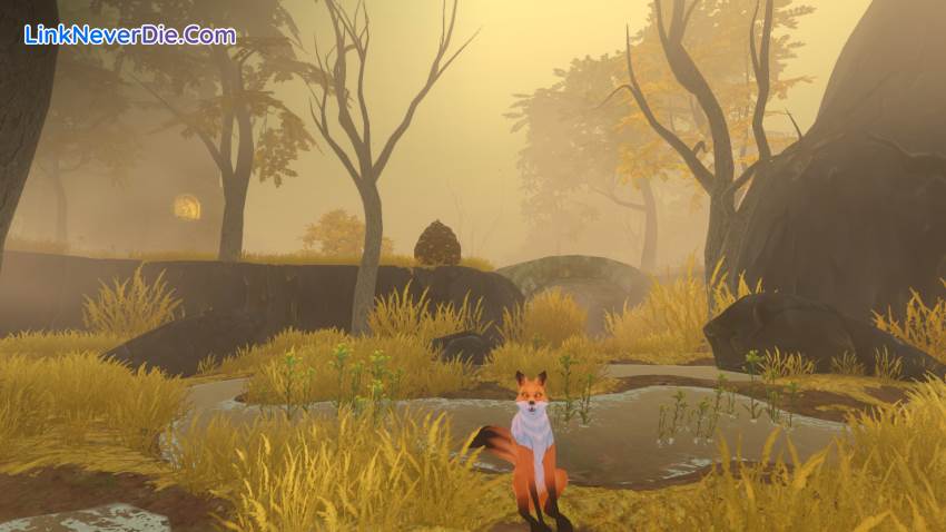 Hình ảnh trong game The Wild Eternal (screenshot) Hình ảnh trong game The Wild Eternal (screenshot)