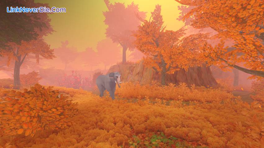 Hình ảnh trong game The Wild Eternal (screenshot) Hình ảnh trong game The Wild Eternal (screenshot)
