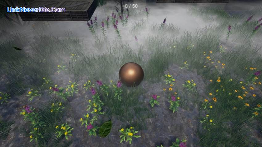 Hình ảnh trong game ZRoll (screenshot) Hình ảnh trong game ZRoll (screenshot)