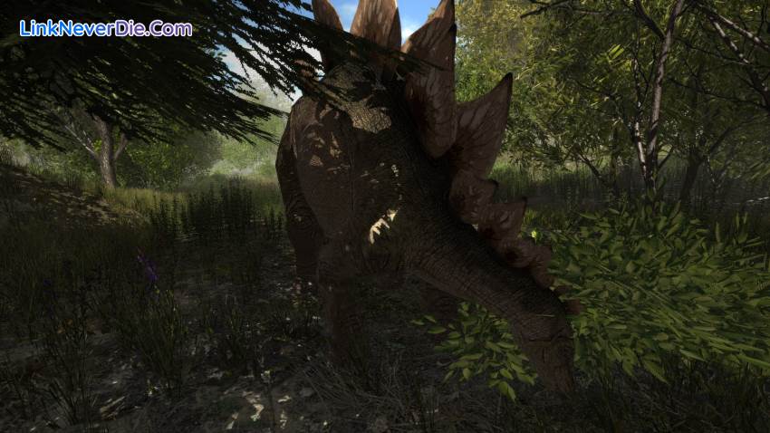 Hình ảnh trong game Dinosaur Forest (screenshot) Hình ảnh trong game Dinosaur Forest (screenshot)