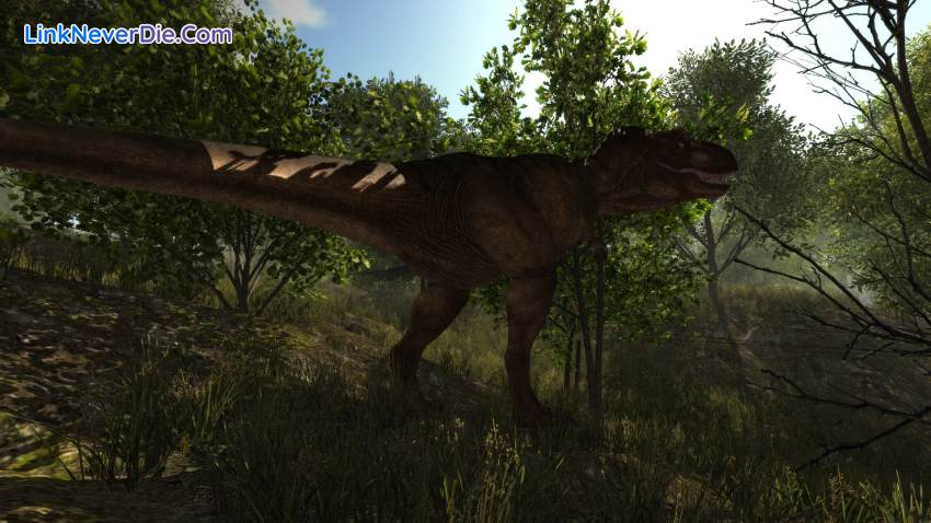 Hình ảnh trong game Dinosaur Forest (screenshot) Hình ảnh trong game Dinosaur Forest (screenshot)