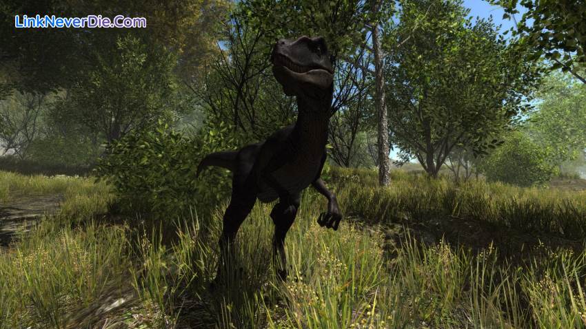 Hình ảnh trong game Dinosaur Forest (screenshot) Hình ảnh trong game Dinosaur Forest (screenshot)