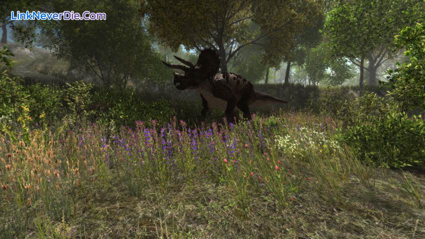 Hình ảnh trong game Dinosaur Forest (screenshot) Hình ảnh trong game Dinosaur Forest (screenshot)
