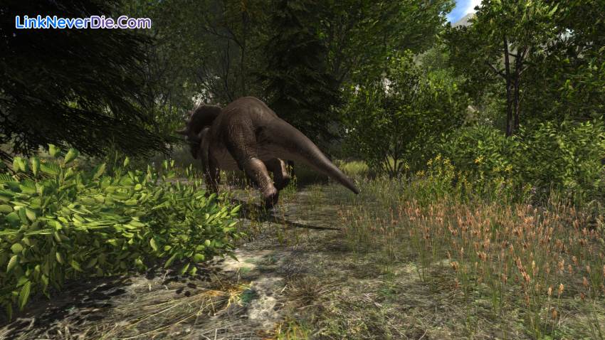 Hình ảnh trong game Dinosaur Forest (screenshot) Hình ảnh trong game Dinosaur Forest (screenshot)