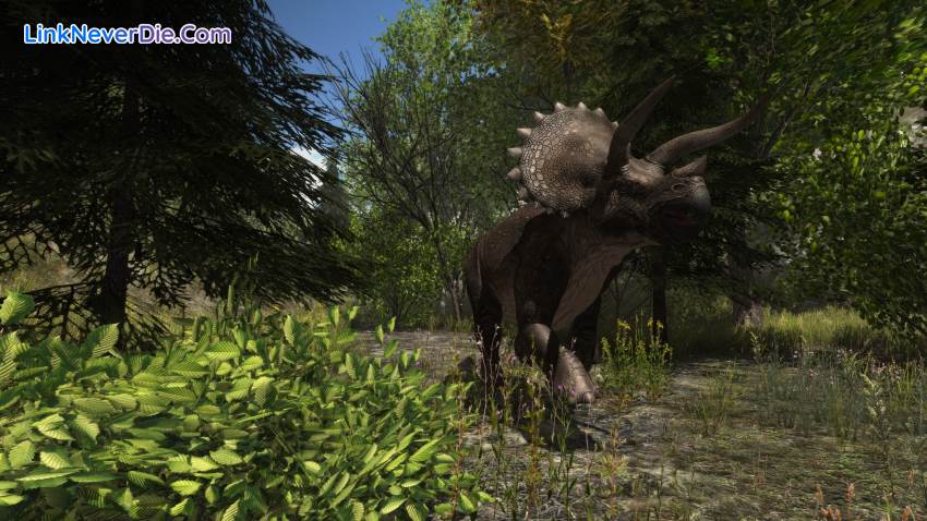 Hình ảnh trong game Dinosaur Forest (screenshot) Hình ảnh trong game Dinosaur Forest (screenshot)