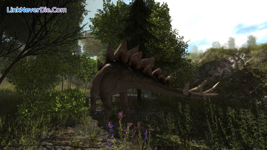 Hình ảnh trong game Dinosaur Forest (screenshot) Hình ảnh trong game Dinosaur Forest (screenshot)