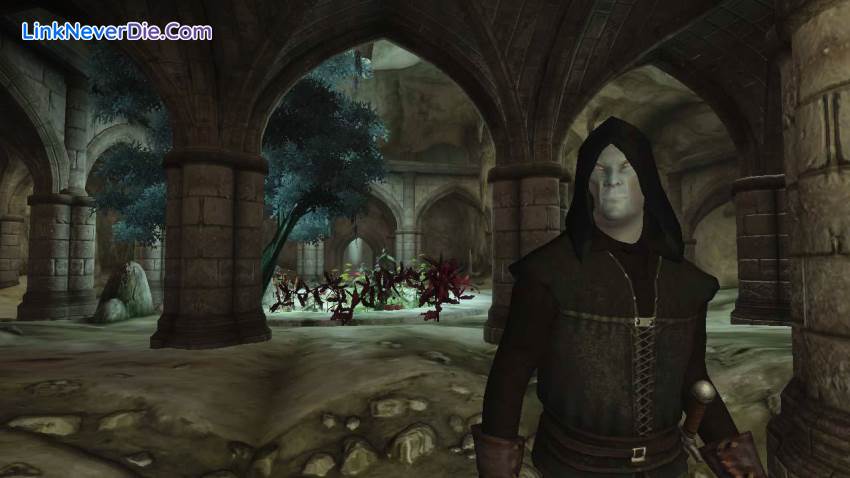 Hình ảnh trong game The Elder Scrolls IV: Oblivion (screenshot) Hình ảnh trong game The Elder Scrolls IV: Oblivion (screenshot)