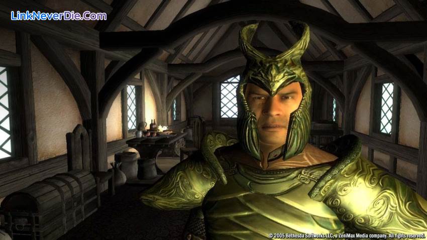 Hình ảnh trong game The Elder Scrolls IV: Oblivion (screenshot) Hình ảnh trong game The Elder Scrolls IV: Oblivion (screenshot)
