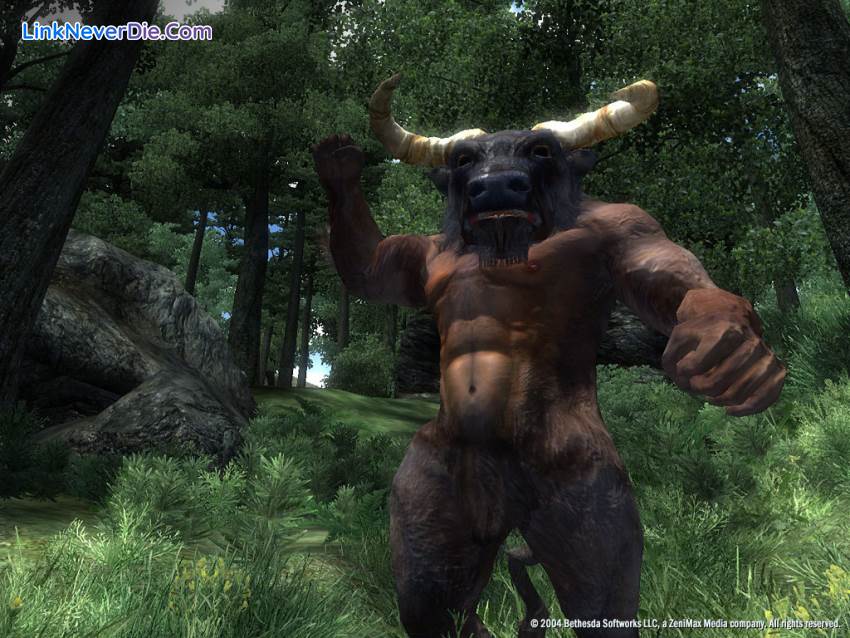 Hình ảnh trong game The Elder Scrolls IV: Oblivion (screenshot) Hình ảnh trong game The Elder Scrolls IV: Oblivion (screenshot)