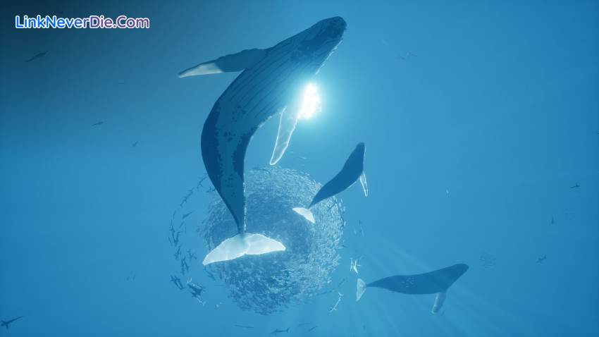 Hình ảnh trong game ABZU (screenshot) Hình ảnh trong game ABZU (screenshot)