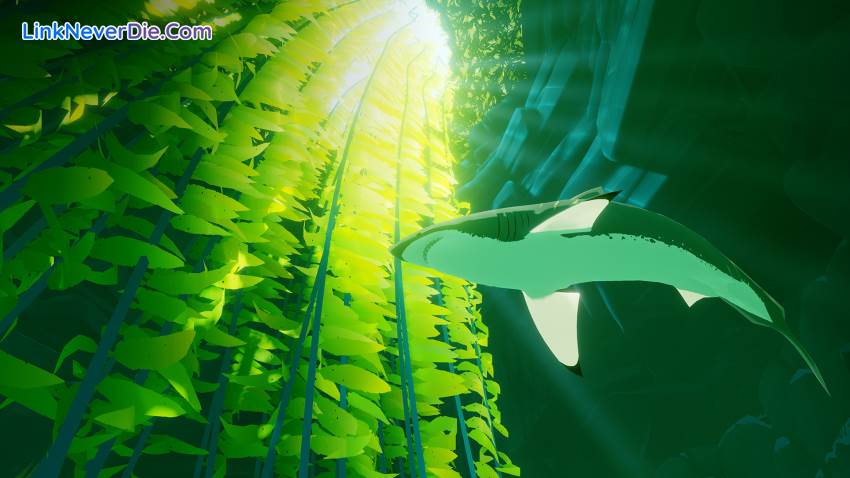 Hình ảnh trong game ABZU (screenshot) Hình ảnh trong game ABZU (screenshot)