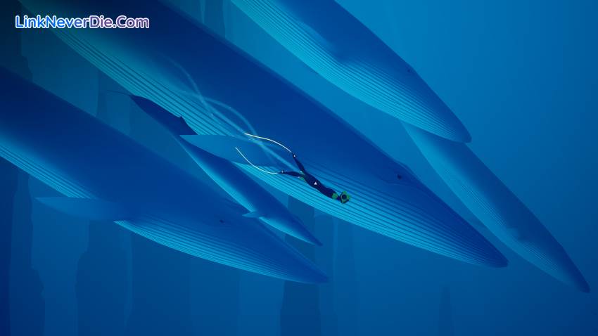 Hình ảnh trong game ABZU (screenshot) Hình ảnh trong game ABZU (screenshot)