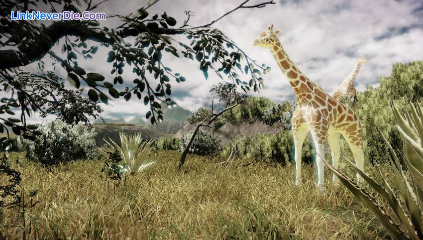 Hình ảnh trong game Zulu Response (screenshot) Hình ảnh trong game Zulu Response (screenshot)