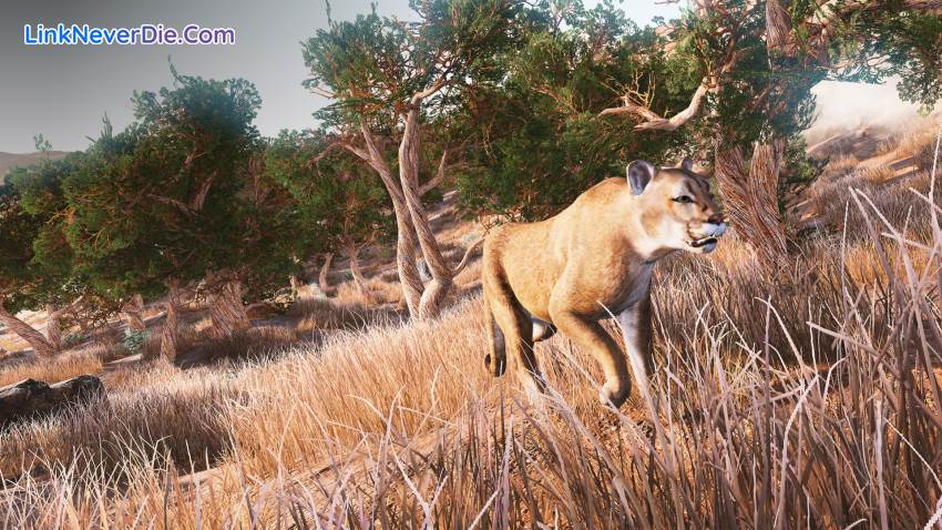 Hình ảnh trong game Hunting Simulator (screenshot) Hình ảnh trong game Hunting Simulator (screenshot)