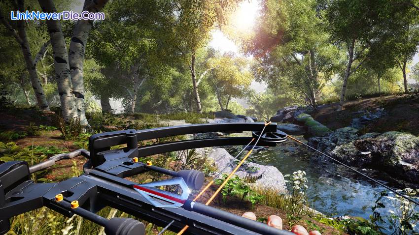 Hình ảnh trong game Hunting Simulator (screenshot) Hình ảnh trong game Hunting Simulator (screenshot)