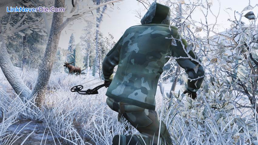 Hình ảnh trong game Hunting Simulator (screenshot) Hình ảnh trong game Hunting Simulator (screenshot)