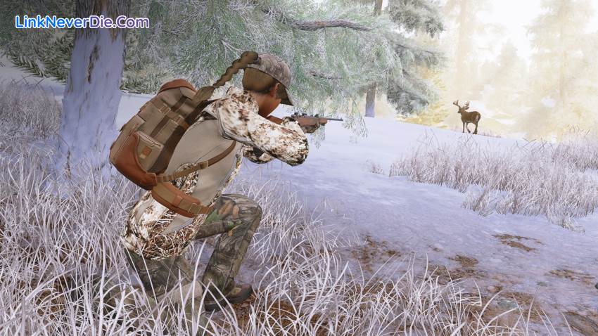 Hình ảnh trong game Hunting Simulator (screenshot) Hình ảnh trong game Hunting Simulator (screenshot)
