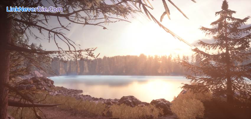Hình ảnh trong game Ostwind/Windstorm (screenshot) Hình ảnh trong game Ostwind/Windstorm (screenshot)