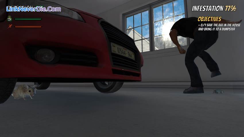Hình ảnh trong game Rat Simulator (screenshot) Hình ảnh trong game Rat Simulator (screenshot)