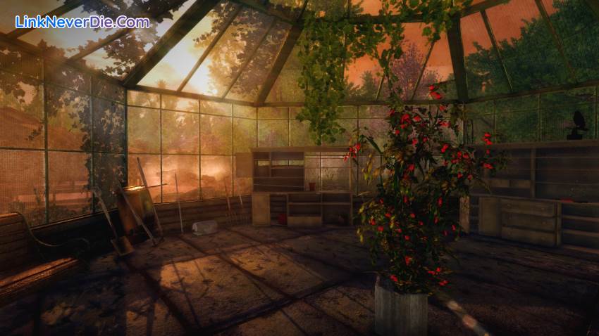 Hình ảnh trong game Rise of Insanity (screenshot) Hình ảnh trong game Rise of Insanity (screenshot)