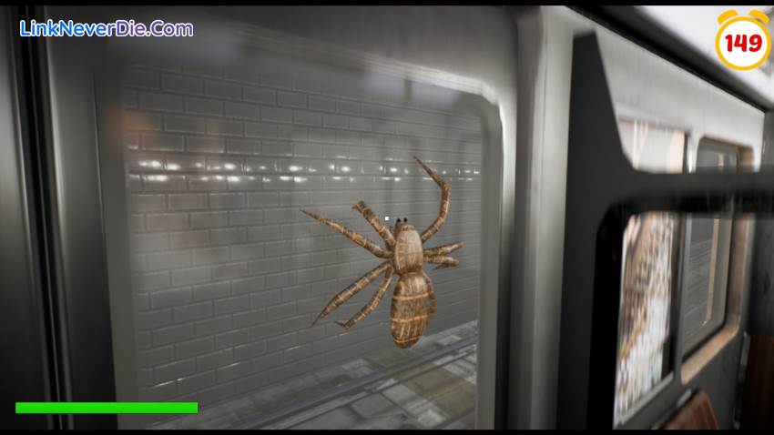 Hình ảnh trong game Slap The Fly (screenshot) Hình ảnh trong game Slap The Fly (screenshot)