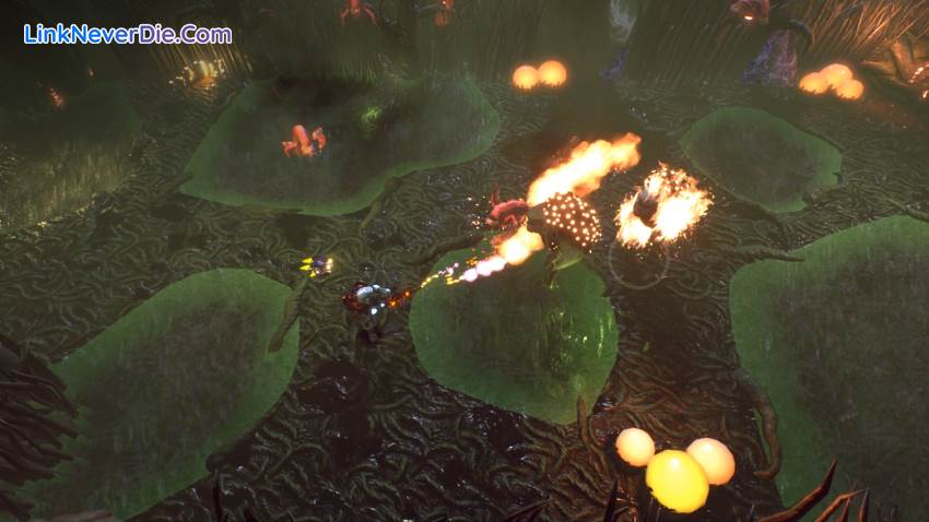 Hình ảnh trong game Eliosi's Hunt (screenshot) Hình ảnh trong game Eliosi's Hunt (screenshot)