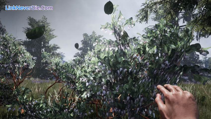 Hình ảnh trong game Fragmented (screenshot) Hình ảnh trong game Fragmented (screenshot)