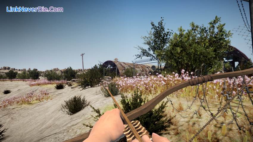 Hình ảnh trong game Animallica (screenshot) Hình ảnh trong game Animallica (screenshot)