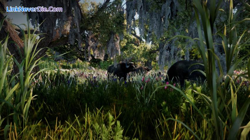 Hình ảnh trong game Animallica (screenshot) Hình ảnh trong game Animallica (screenshot)