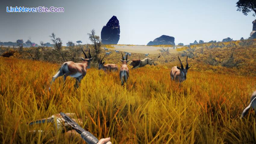 Hình ảnh trong game Animallica (screenshot) Hình ảnh trong game Animallica (screenshot)