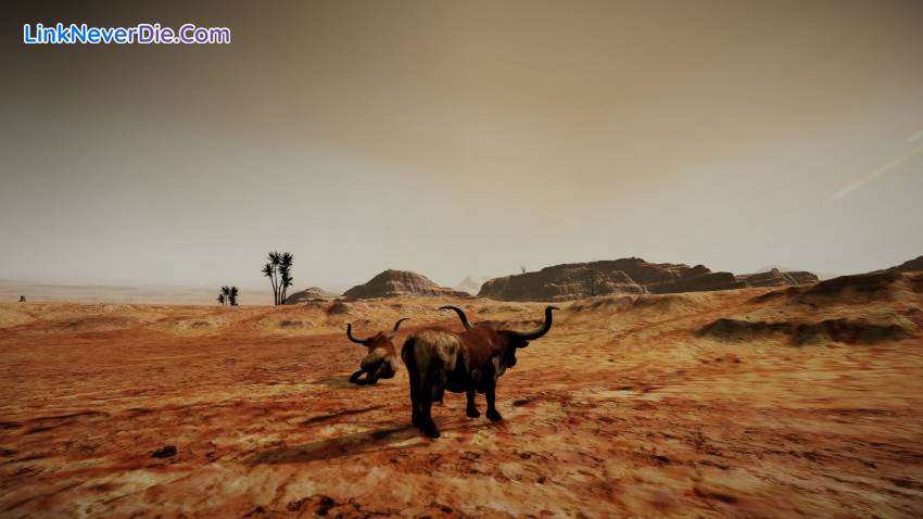 Hình ảnh trong game Animallica (screenshot) Hình ảnh trong game Animallica (screenshot)