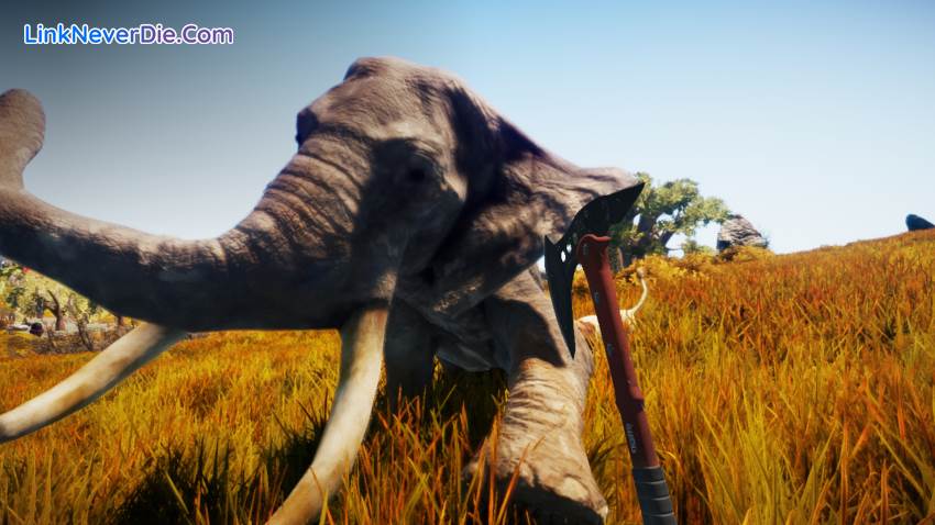 Hình ảnh trong game Animallica (screenshot) Hình ảnh trong game Animallica (screenshot)