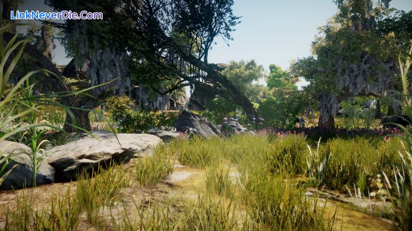 Hình ảnh trong game Animallica (screenshot) Hình ảnh trong game Animallica (screenshot)