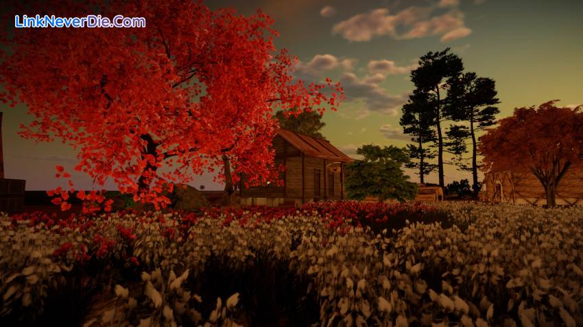 Hình ảnh trong game Animallica (screenshot) Hình ảnh trong game Animallica (screenshot)