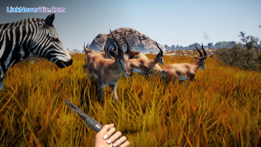 Hình ảnh trong game Animallica (screenshot) Hình ảnh trong game Animallica (screenshot)