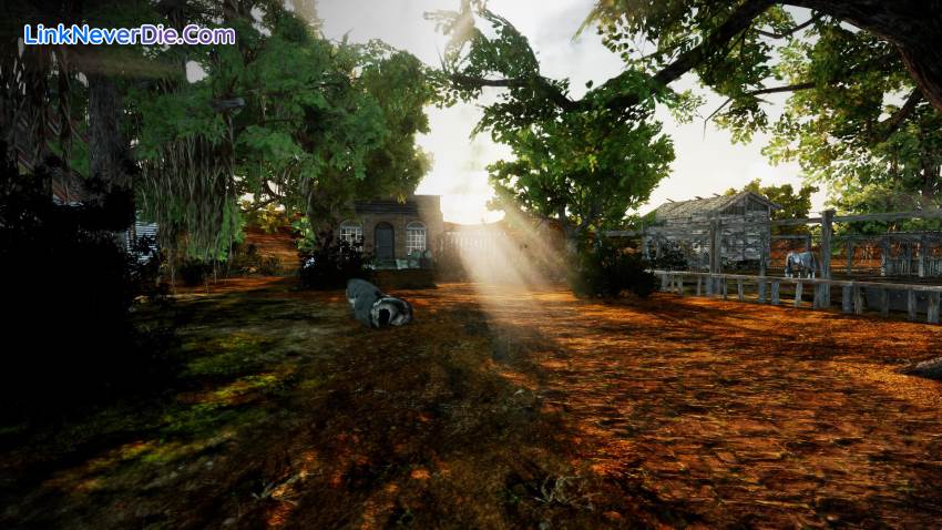 Hình ảnh trong game Animallica (screenshot) Hình ảnh trong game Animallica (screenshot)