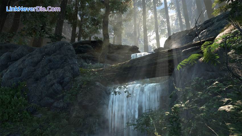 Hình ảnh trong game Dark and Light (screenshot) Hình ảnh trong game Dark and Light (screenshot)