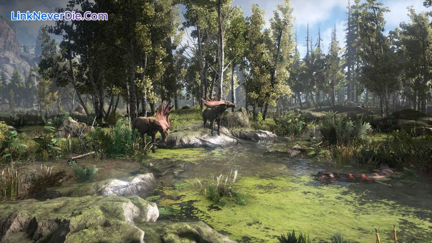 Hình ảnh trong game Dark and Light (screenshot) Hình ảnh trong game Dark and Light (screenshot)