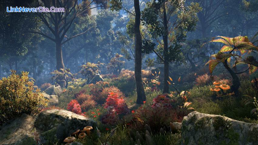 Hình ảnh trong game Dark and Light (screenshot) Hình ảnh trong game Dark and Light (screenshot)