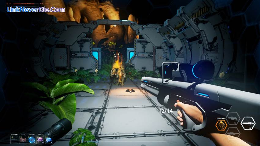 Hình ảnh trong game DinosaurIsland (screenshot) Hình ảnh trong game DinosaurIsland (screenshot)
