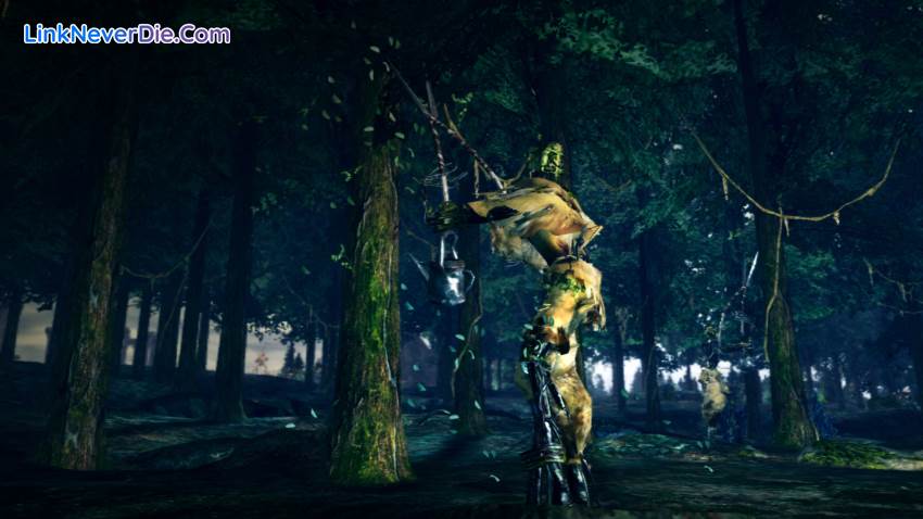 Hình ảnh trong game Dark Souls: Prepare to Die Edition (screenshot) Hình ảnh trong game Dark Souls: Prepare to Die Edition (screenshot)