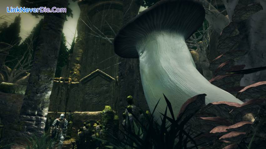 Hình ảnh trong game Dark Souls: Prepare to Die Edition (screenshot) Hình ảnh trong game Dark Souls: Prepare to Die Edition (screenshot)