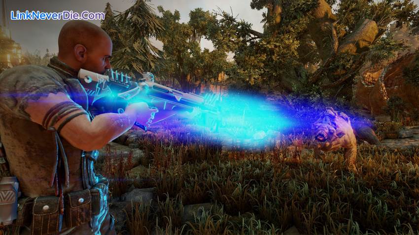 Hình ảnh trong game ELEX (screenshot) Hình ảnh trong game ELEX (screenshot)