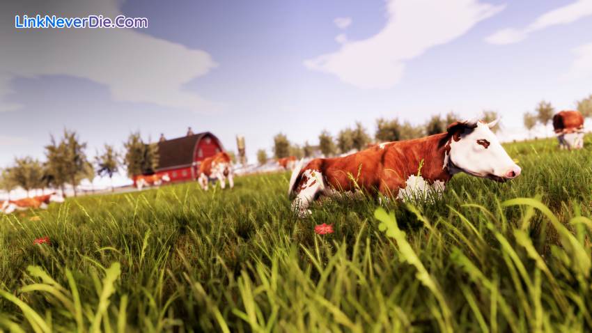 Hình ảnh trong game Real Farm (screenshot) Hình ảnh trong game Real Farm (screenshot)