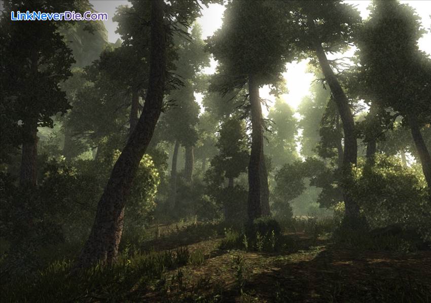Hình ảnh trong game Risen (screenshot) Hình ảnh trong game Risen (screenshot)