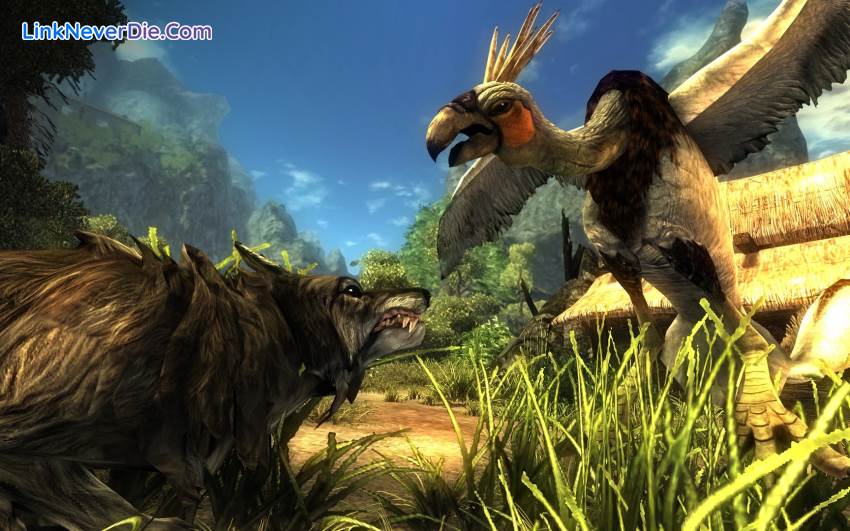 Hình ảnh trong game Risen (screenshot) Hình ảnh trong game Risen (screenshot)