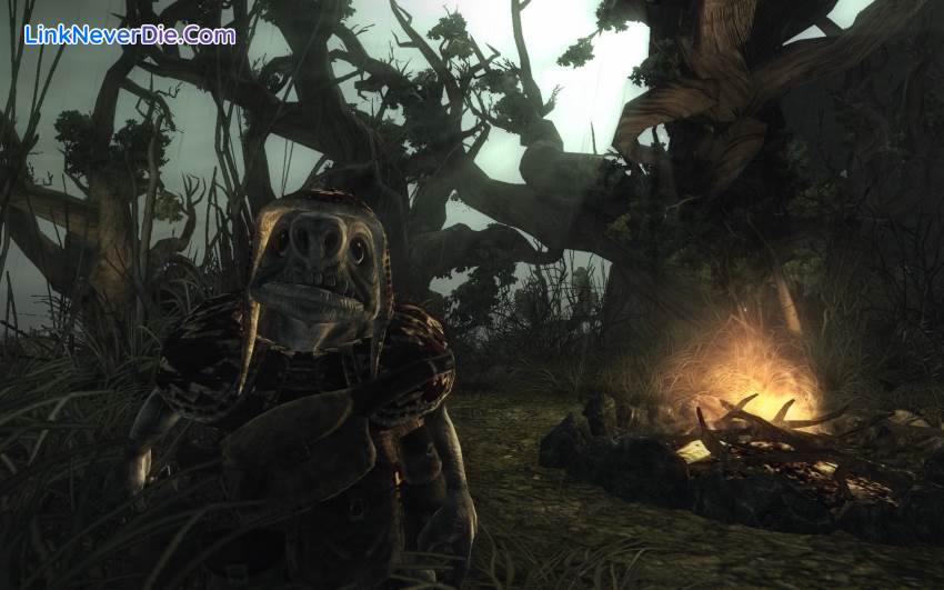 Hình ảnh trong game Risen (screenshot) Hình ảnh trong game Risen (screenshot)